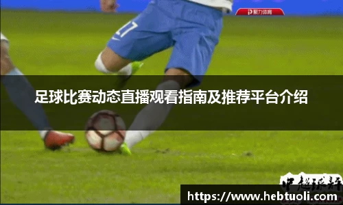 RAYBET雷竞技下载