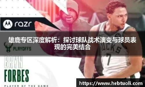 雄鹿专区深度解析：探讨球队战术演变与球员表现的完美结合