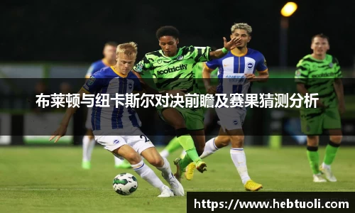 布莱顿与纽卡斯尔对决前瞻及赛果猜测分析